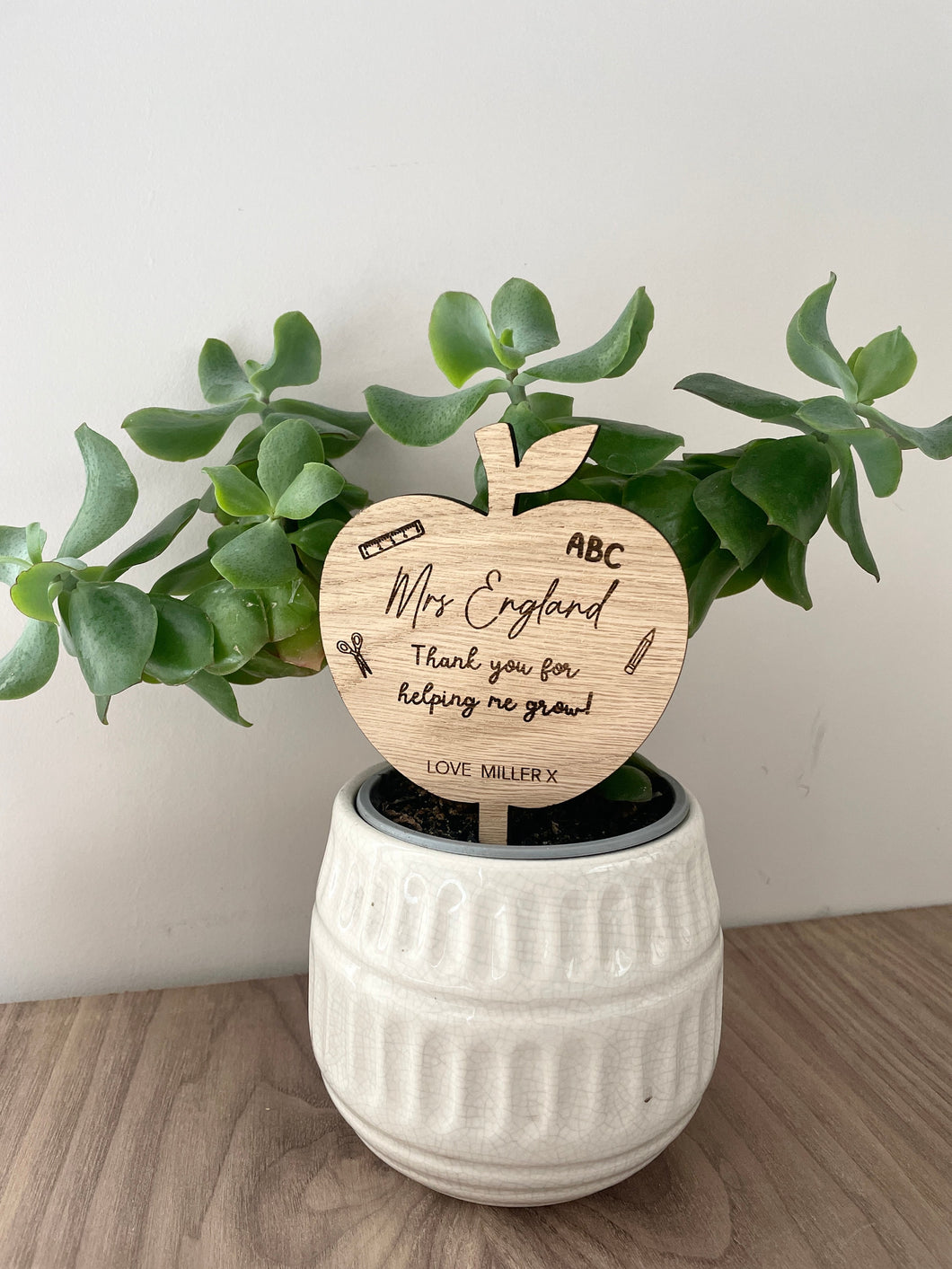 Thank You For Helping Me Grow, Present for Teaching Assistant, Plant Pot Teacher Decoration, Thank You Teacher Gift, Appreciation Gift